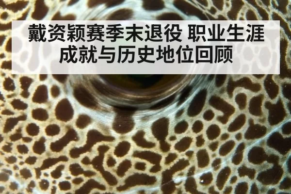 戴资颖赛季末退役 职业生涯成就与历史地位回顾