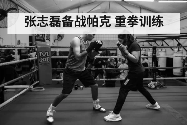 boxer tactics workout